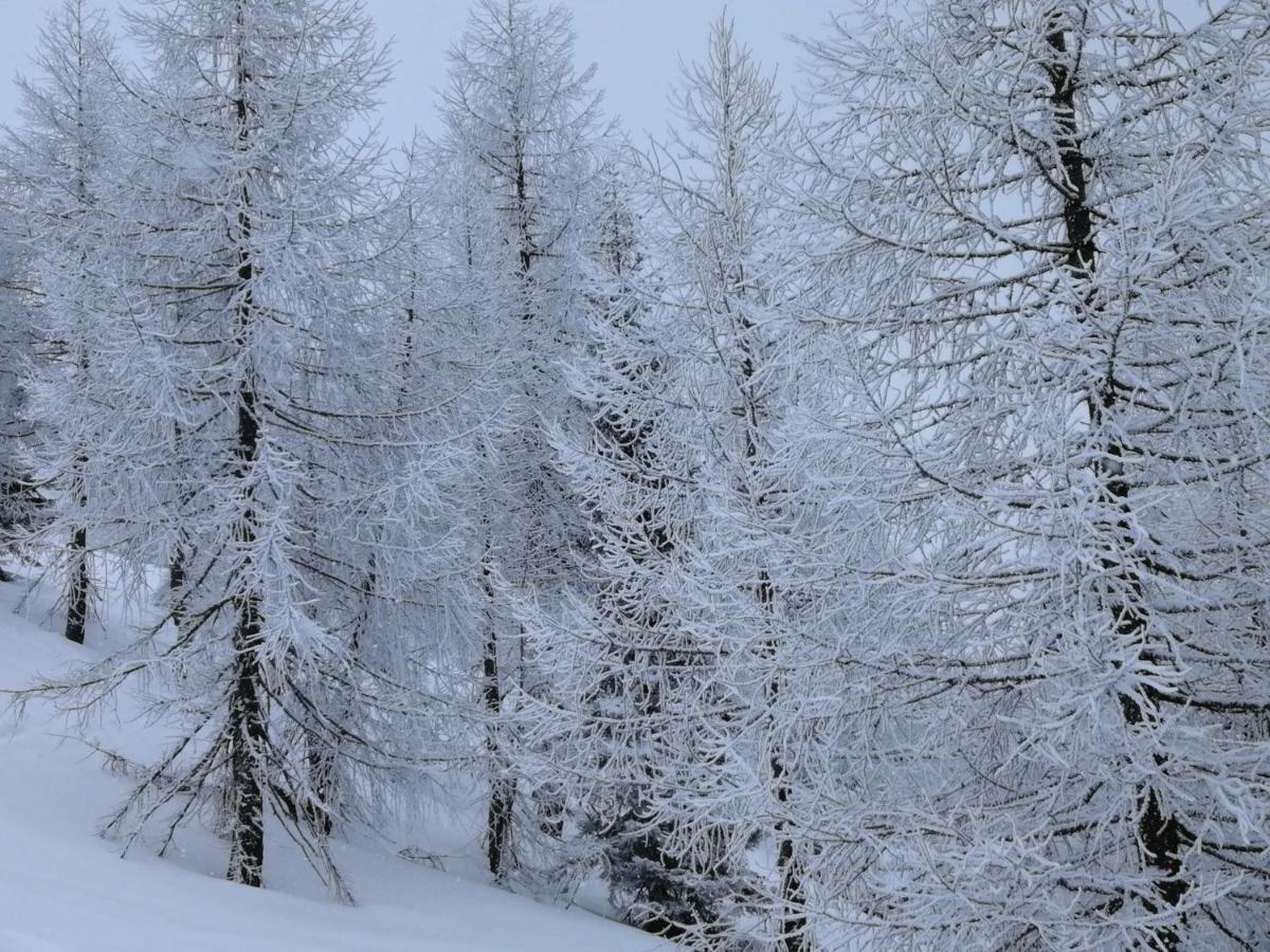 Hotel Dolomiti Левико-Терме Экстерьер фото